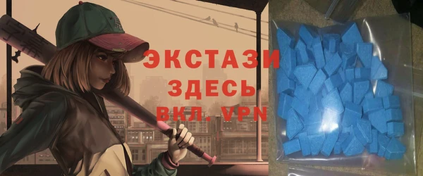 гашик Богородск