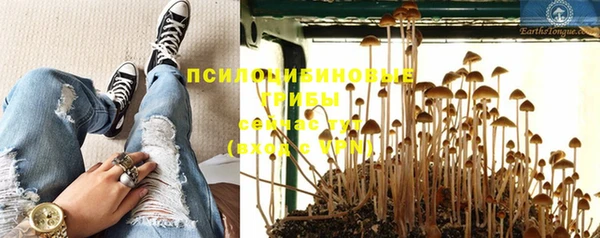 ECSTASY Белокуриха