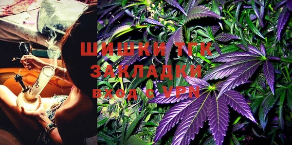 ECSTASY Белокуриха