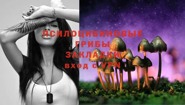 Альфа ПВП Богданович