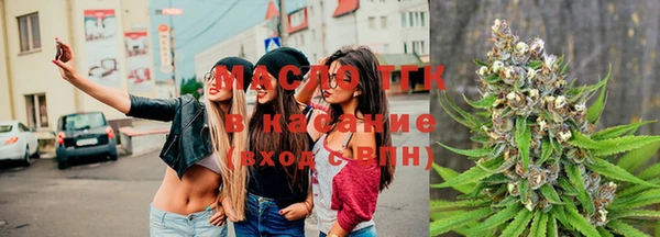гашик Богородск
