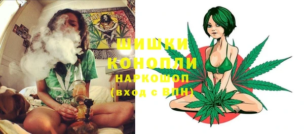 спиды Рославль