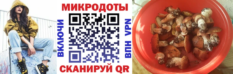 Галлюциногенные грибы GOLDEN TEACHER  продажа наркотиков  Петрозаводск 